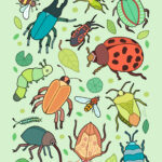 Illustration of bugs on a plain green background.